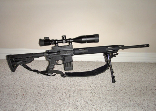 450 with new lower receiver small.jpg