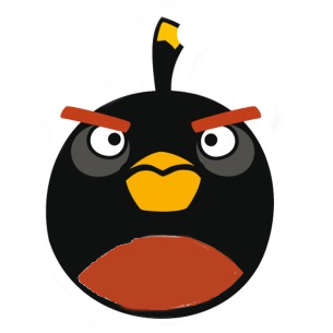 Angry Robin.jpg